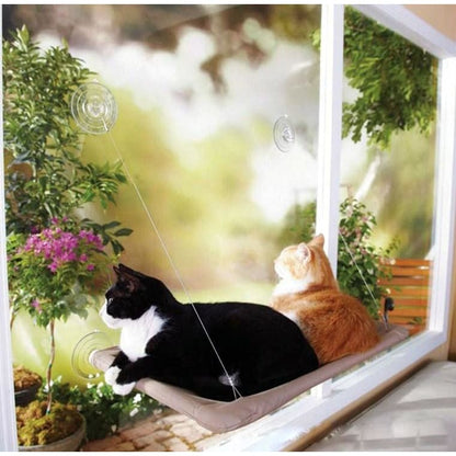 Comfy and Relaxing Window Mounted Cat Bed