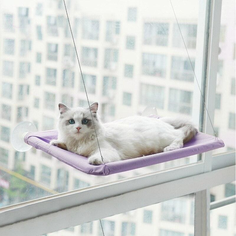 Comfy and Relaxing Window Mounted Cat Bed